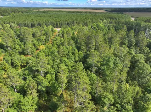 tbd County 119, Nevis, MN 56467 photo 10
