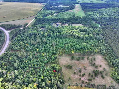 tbd County 119, Nevis, MN 56467 photo 6