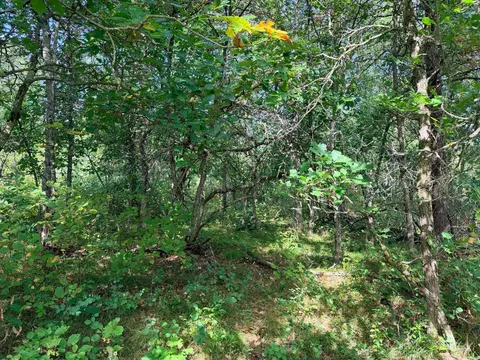 tbd County 119, Nevis, MN 56467 photo 13