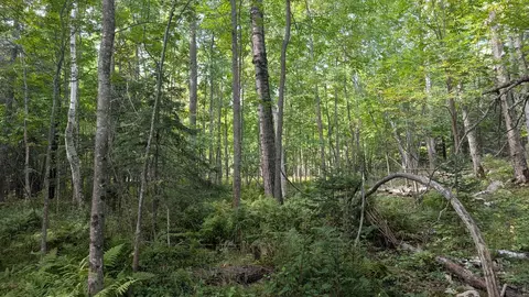 lot B Everett Bay Rd, Tower, MN 55790 photo 12