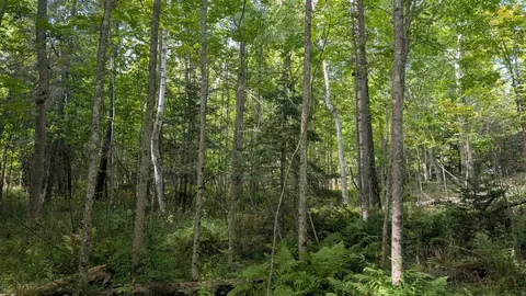 lot B Everett Bay Rd, Tower, MN 55790 photo 5