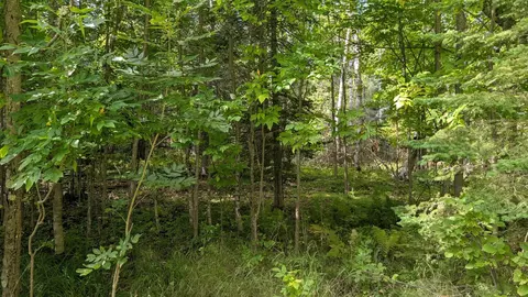 lot B Everett Bay Rd, Tower, MN 55790 photo 8