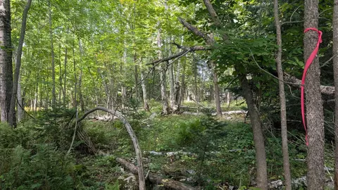 lot B Everett Bay Rd, Tower, MN 55790 photo 13