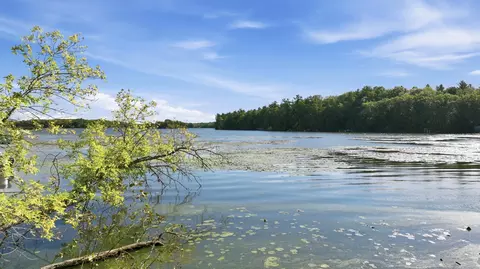 lot2 Sugar Bay Rd, Chetek, WI 54728 photo 6
