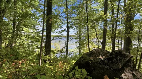 lot2 Sugar Bay Rd, Chetek, WI 54728 photo 8
