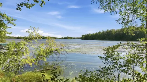 lot2 Sugar Bay Rd, Chetek, WI 54728 photo 5