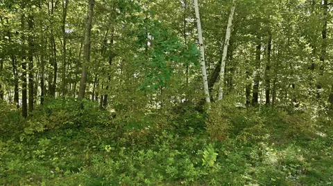 lot2 Sugar Bay Rd, Chetek, WI 54728 photo 19