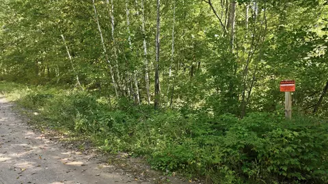 lot2 Sugar Bay Rd, Chetek, WI 54728 photo 17