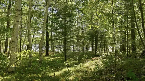 lot2 Sugar Bay Rd, Chetek, WI 54728 photo 10