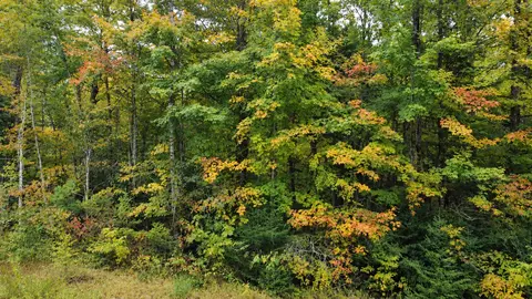 lot14 Beaver Dr, Brainerd, MN 56401 photo 8