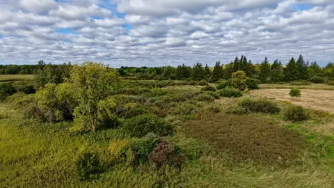 tbd Tiger St, Dalbo, MN 55371 photo 9