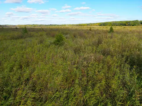 12084 County Road 144, Brainerd, MN 56401 photo 17