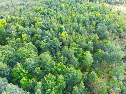 12084 County Road 144, Brainerd, MN 56401 photo 21
