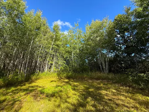 12084 County Road 144, Brainerd, MN 56401 photo 8