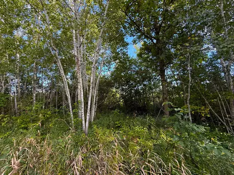 12084 County Road 144, Brainerd, MN 56401 photo 9