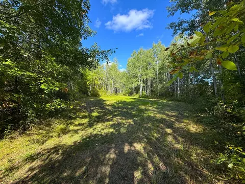 12084 County Road 144, Brainerd, MN 56401 photo 6