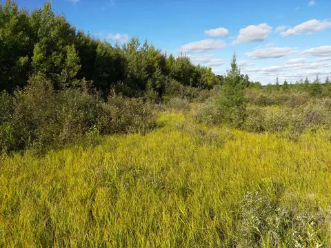 12084 County Road 144, Brainerd, MN 56401 photo 15