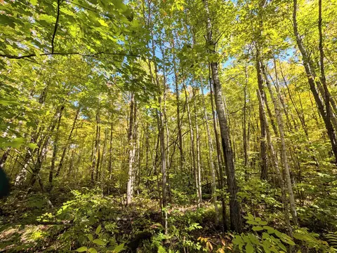tbd Hwy B, Hunter Twp, WI 54843