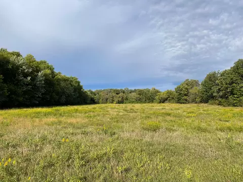 tbd Nnn 140th Ave, Foreston, MN 56330 photo 1