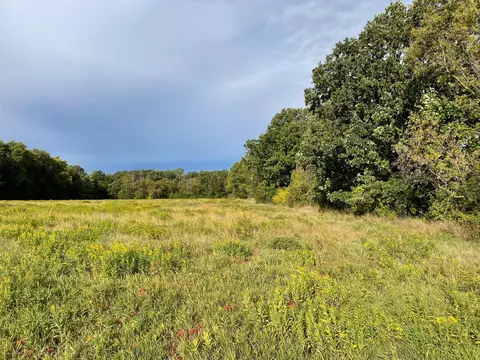 tbd Nnn 140th Ave, Foreston, MN 56330 photo 3