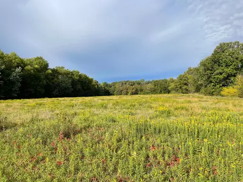 tbd Nnn 140th Ave, Foreston, MN 56330 photo 2