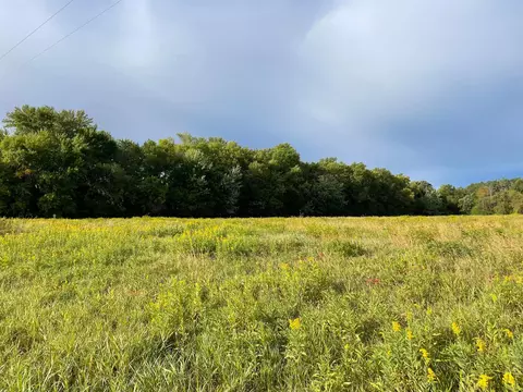 tbd Nnn 140th Ave, Foreston, MN 56330 photo 5