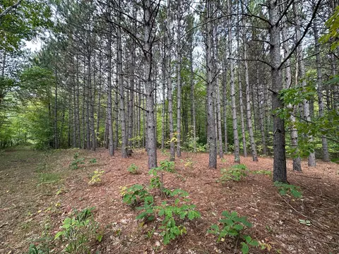 tbd W Fork Rd, Sandstone, MN 55072 photo 14