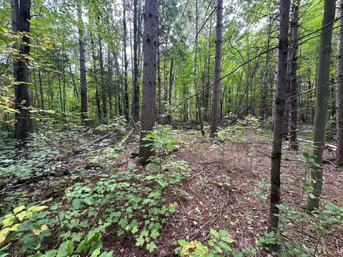tbd W Fork Rd, Sandstone, MN 55072 photo 11