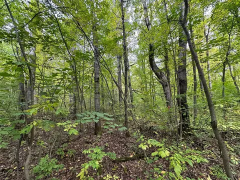 tbd W Fork Rd, Sandstone, MN 55072 photo 10