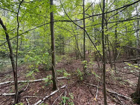 tbd W Fork Rd, Sandstone, MN 55072 photo 13