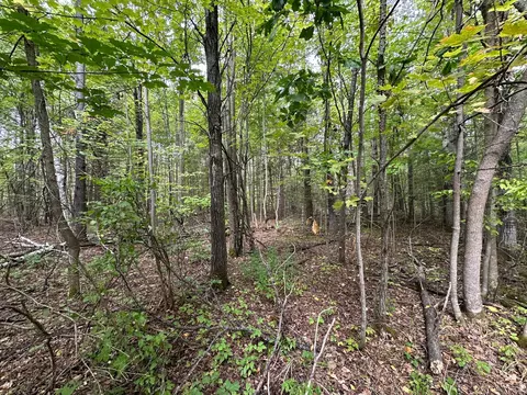 tbd W Fork Rd, Sandstone, MN 55072 photo 6