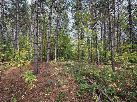 tbd W Fork Rd, Sandstone, MN 55072 photo 3
