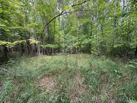 tbd W Fork Rd, Sandstone, MN 55072 photo 5