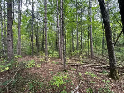 tbd W Fork Rd, Sandstone, MN 55072 photo 8