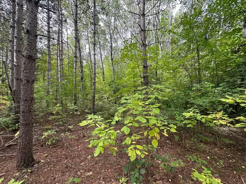 tbd W Fork Rd, Sandstone, MN 55072 photo 4