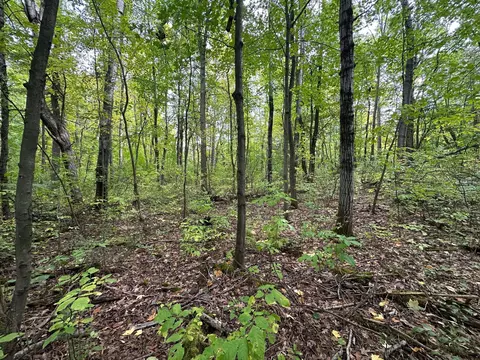 tbd W Fork Rd, Sandstone, MN 55072 photo 9