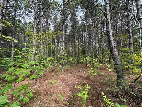 tbd W Fork Rd, Sandstone, MN 55072 photo 2