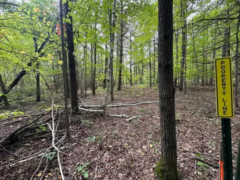 tbd W Fork Rd, Sandstone, MN 55072 photo 12