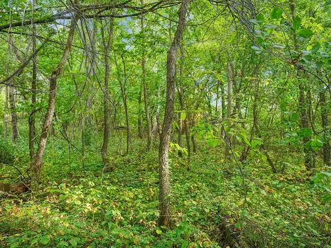 455 Nn Plentywood Rd, Perham, MN 56573 photo 10