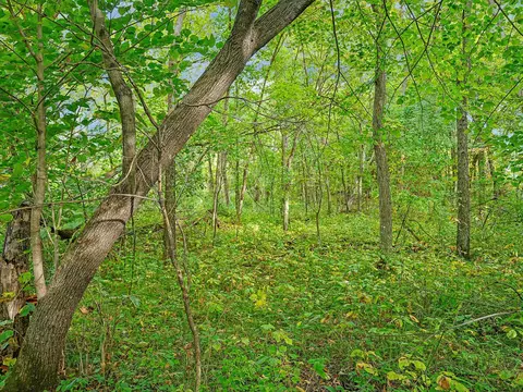 455 Nn Plentywood Rd, Perham, MN 56573 photo 9