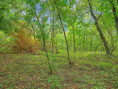 455 Nn Plentywood Rd, Perham, MN 56573 photo 11