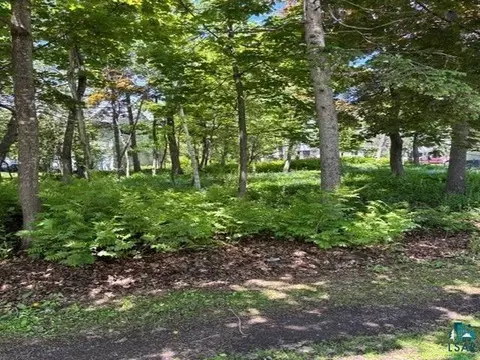 49 Nn Peabody St, Duluth, MN 55804 photo 4