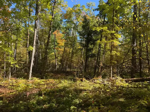 tbd 269th Ave, Laporte, MN 56461 photo 35