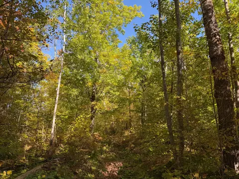 tbd 269th Ave, Laporte, MN 56461 photo 29