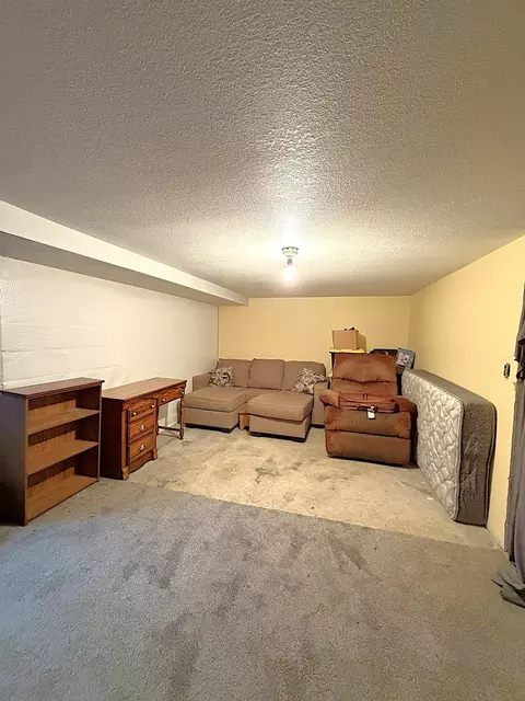 Other - 65 1st St SE, Elgin, MN 55932 photo 3 of 3