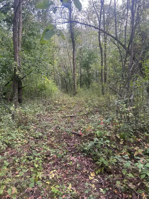 tbd Stark Rd, Harris, MN 55032 photo 11