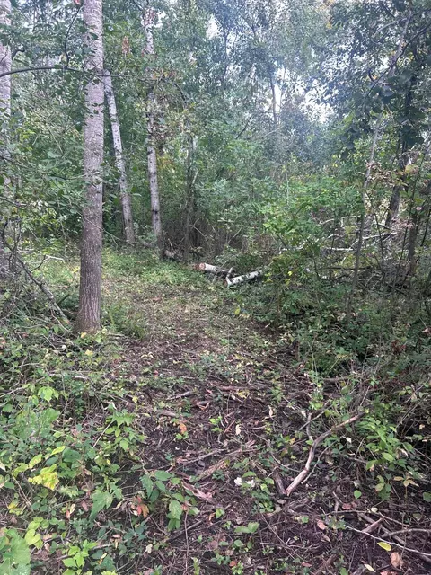 tbd Stark Rd, Harris, MN 55032 photo 18
