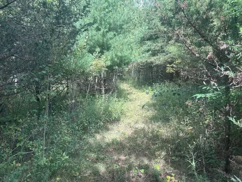 tbd Stark Rd, Harris, MN 55032 photo 15