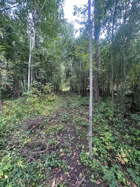 tbd Stark Rd, Harris, MN 55032 photo 16