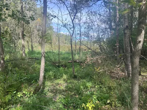 tbd Stark Rd, Harris, MN 55032 photo 20